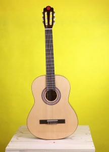 Chọn đàn Guitar Accoustic cho người mới