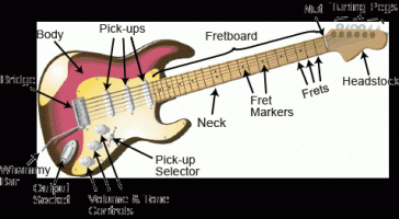 Cấu tạo của một cây Guitar điện