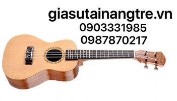 Lịch sử ra đời của cây đàn Guitar